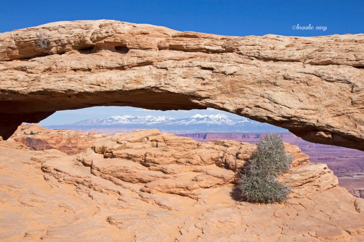 mesa arch