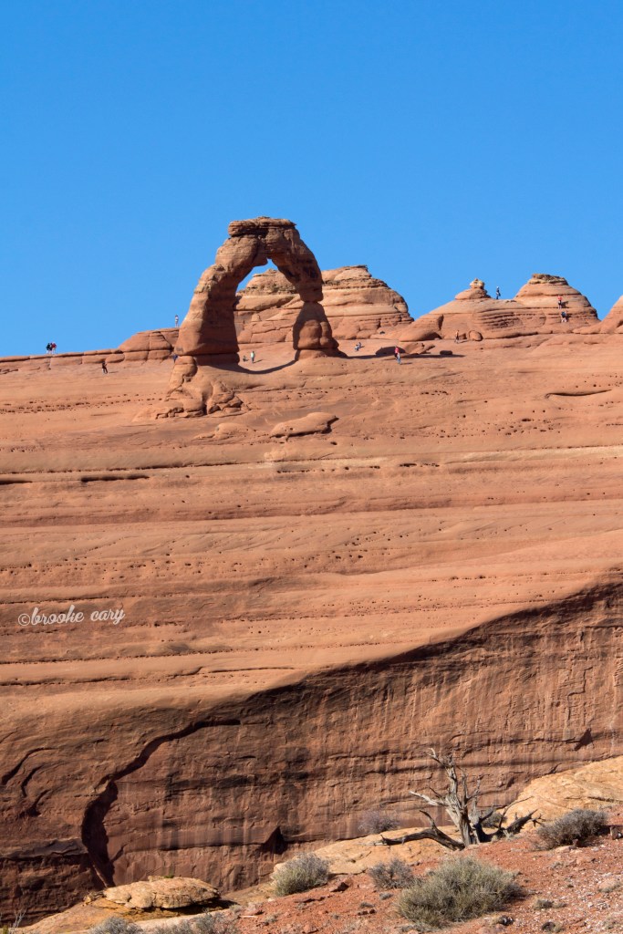 delicate arch