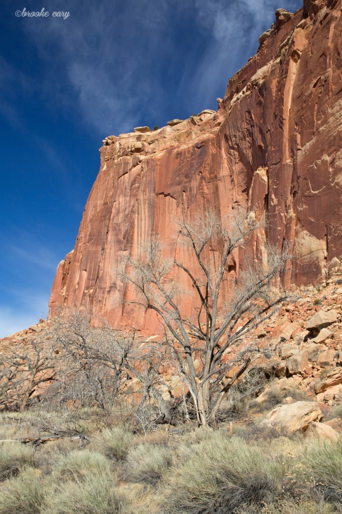 capitol reef