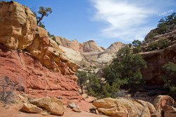 Capitol Reef