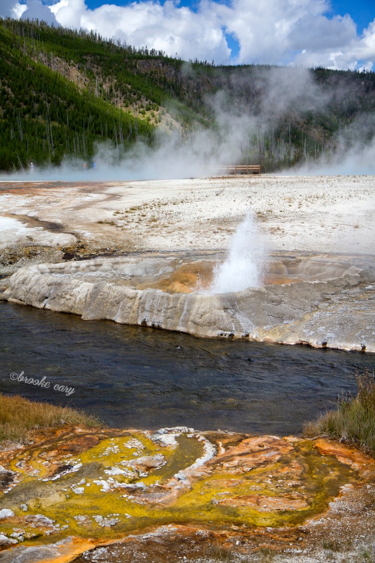 stream and geyser