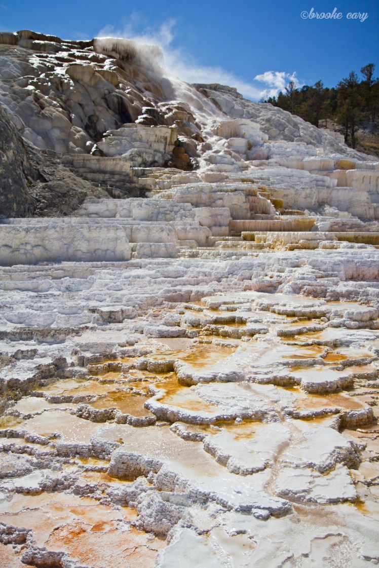 mammoth hot springs