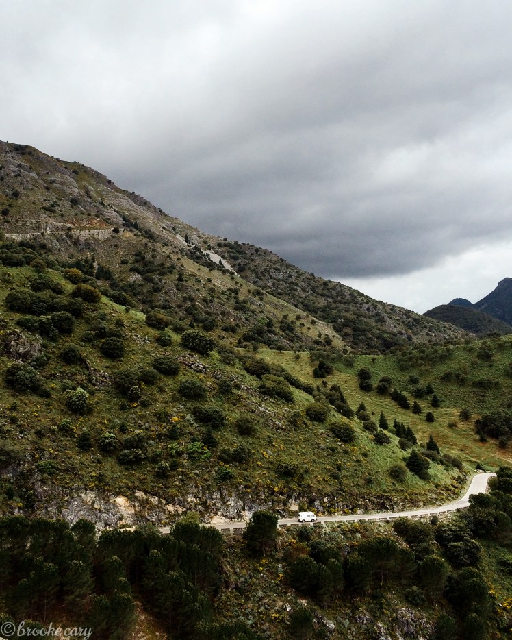 Photo May 10, 3 01 49 AM