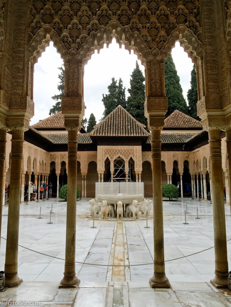 photo-may-12-12-16-39-am